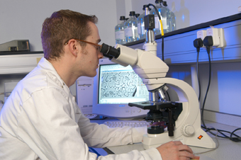 Remote microscope networks enable long distance pest diagnoses ...