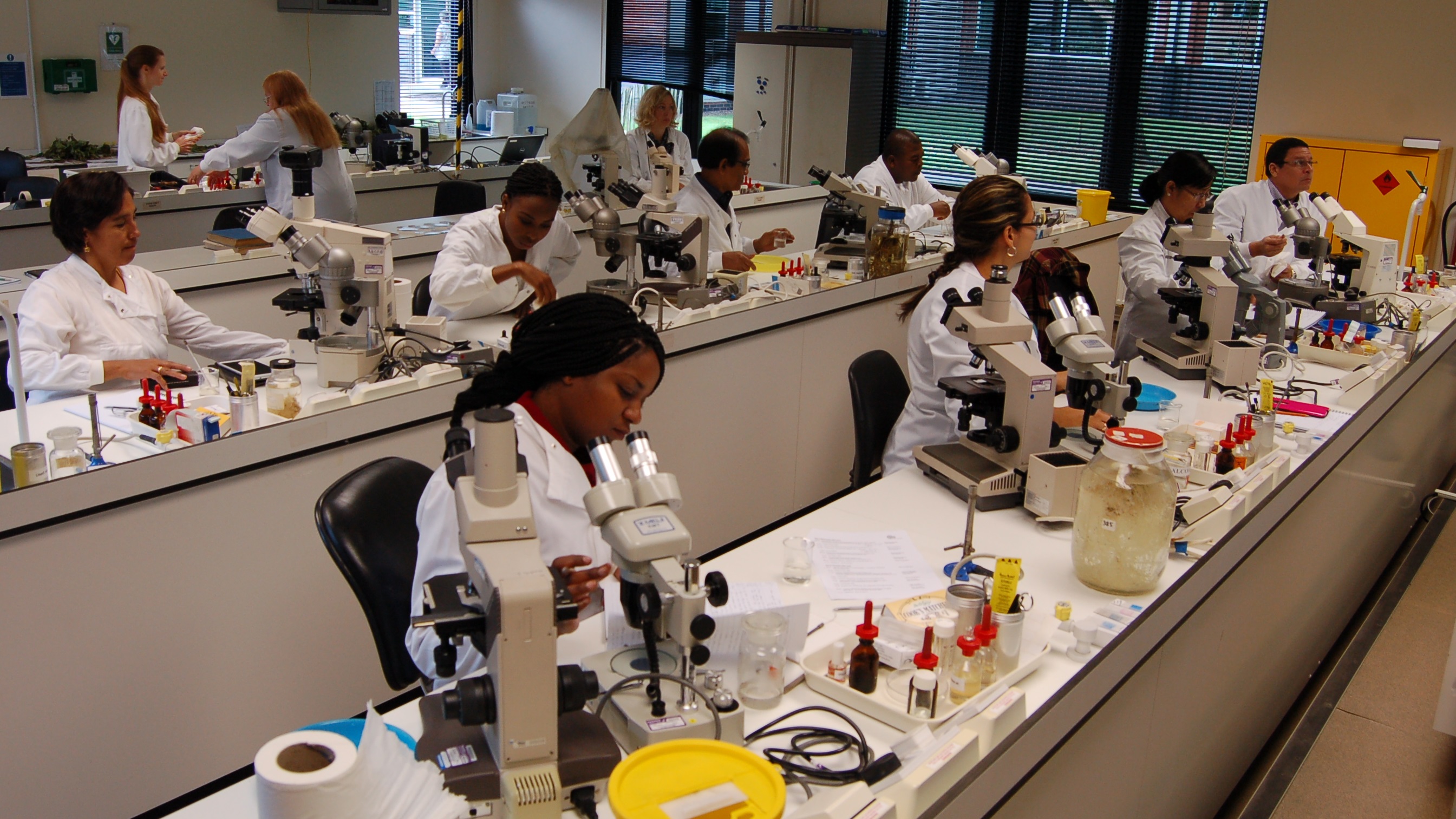 Plantwise partners hone their pathology skills during UK training