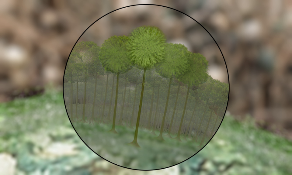 A greater role for educational animation in extension? – PlantwisePlus Blog