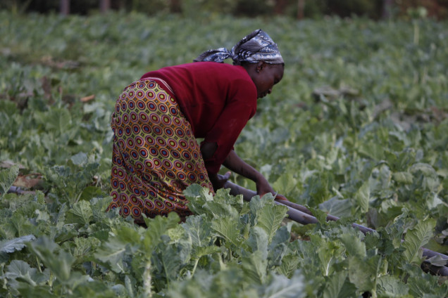 Female farmer