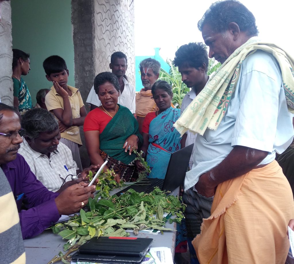 Farmers at a plant clinic in India