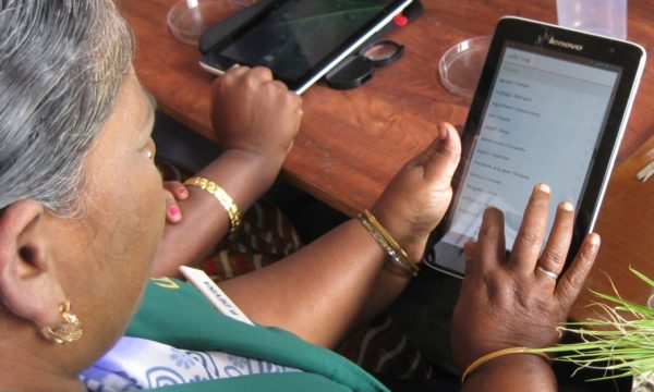 Plant doctors in India use Lenovo tablets to log data