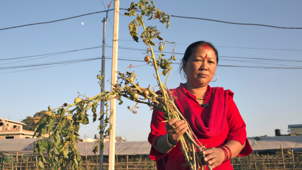 female farmer in Nepal