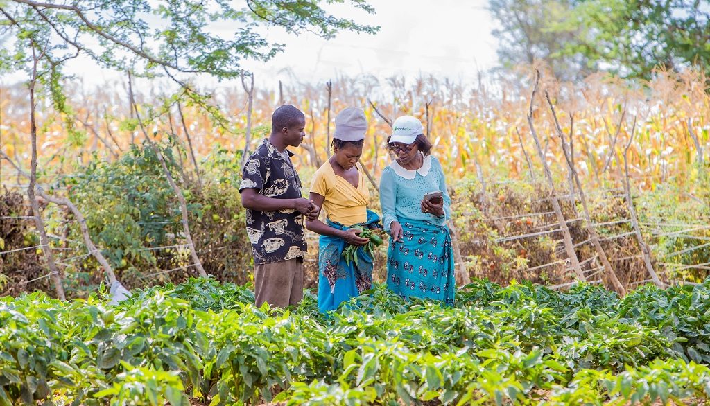 Chinyunyu Plant Clinic in Rufunsa district, Zambia.