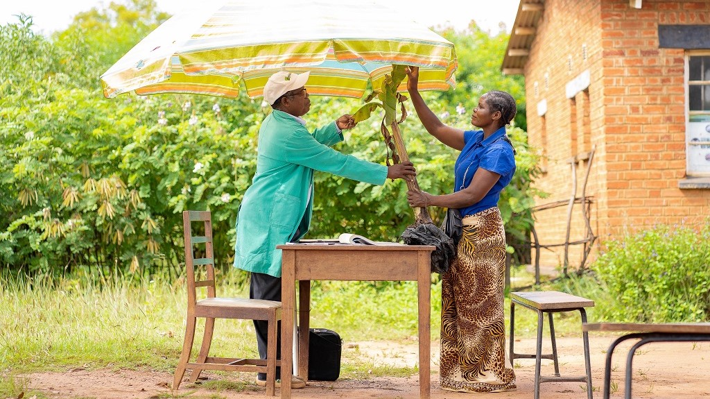 Mayi Joyce Vito and the Plant Doctor, Mr Simplex Chisale examining a diseased banana plant during a plant clinic session, Nanjiri, Lilongwe, Malawi