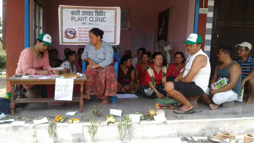 Plant clinic in Nepal