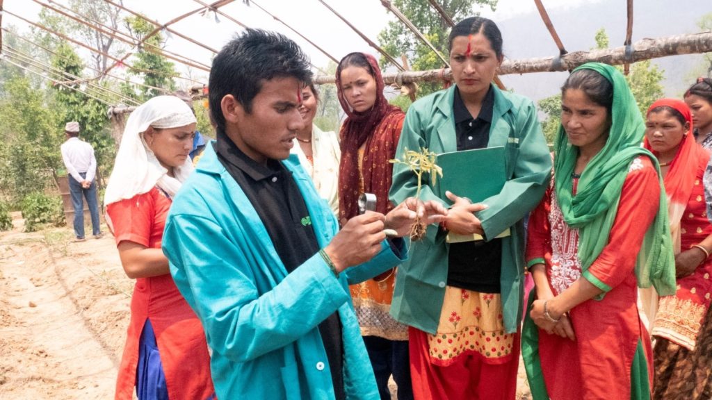 Community Business Facilitators (CBF) plant doctor Mr Gannesh Rokaya and Mrs Dipa Poudel of Surkhet giving farmers a technical consultation