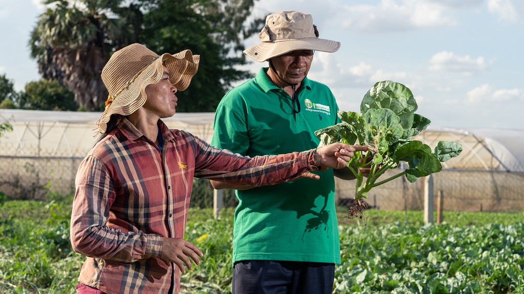 A farmer and a plant doctor discuss crop health problems in the field