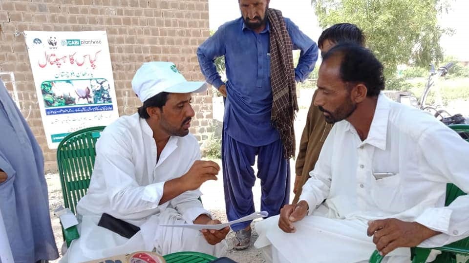 CABI plant doctors advise cotton growers at a plant clinic in Balochistan.