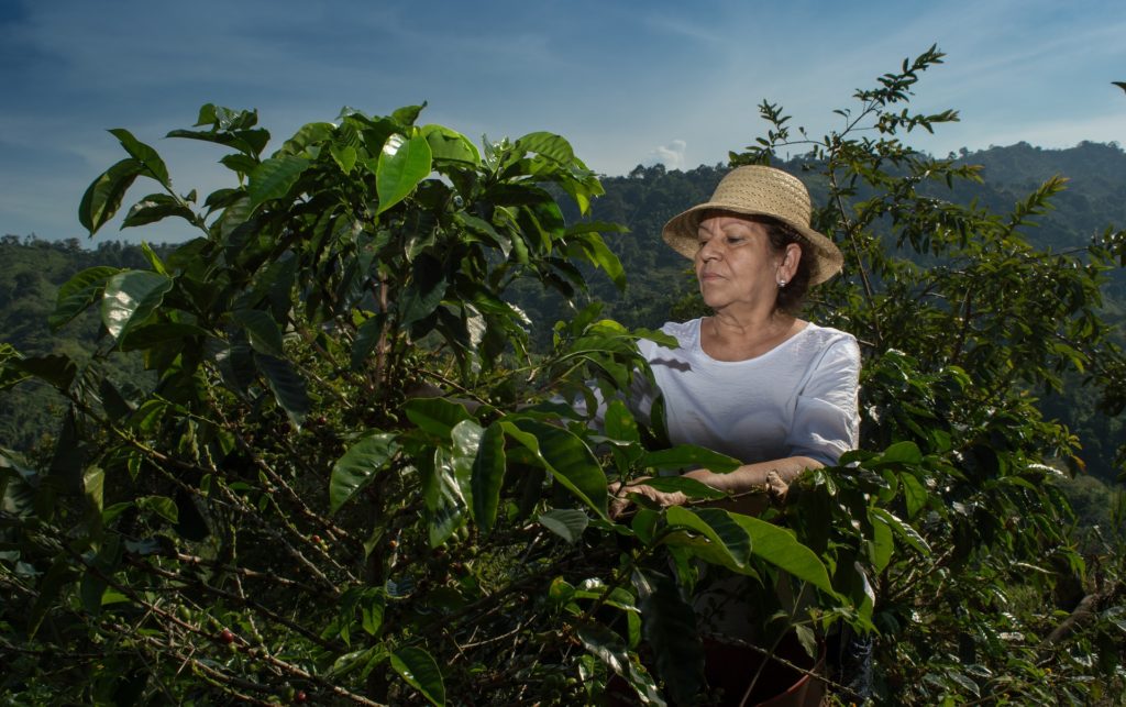 Coffee farmer in Brazil