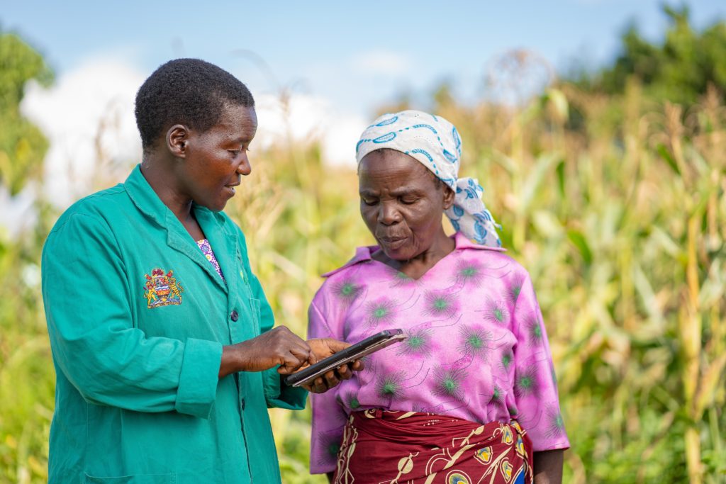 Plant doctor in Malawi using a tablet to share information with a farmer