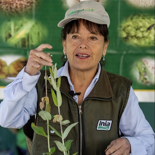 A plant doctor in Peru giving advice