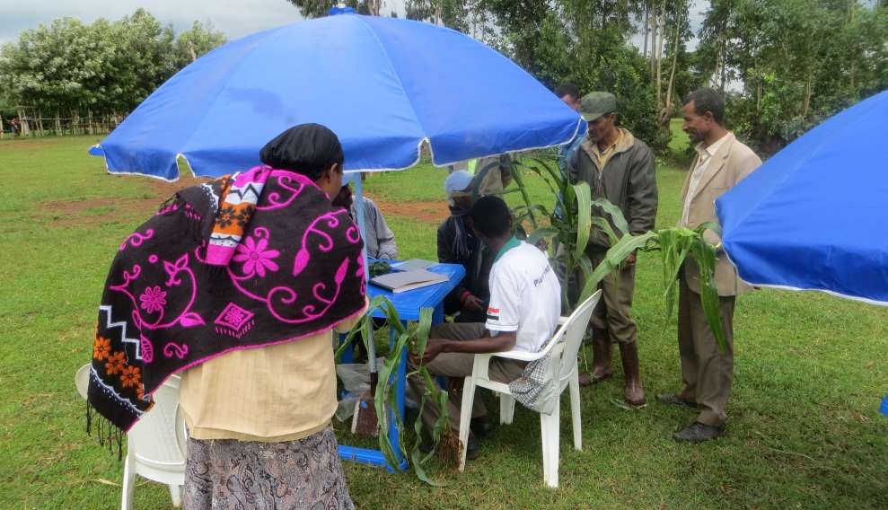 Ethiopia plant clinic