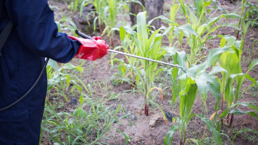 Ethiopia man spraying pesticides