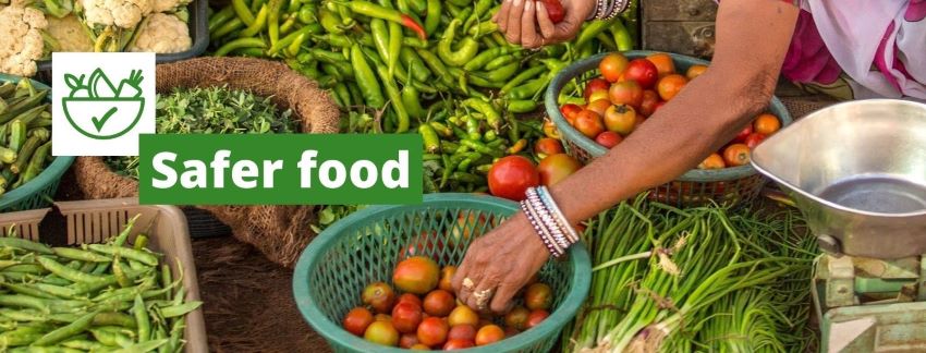safer food, PlantwisePlus