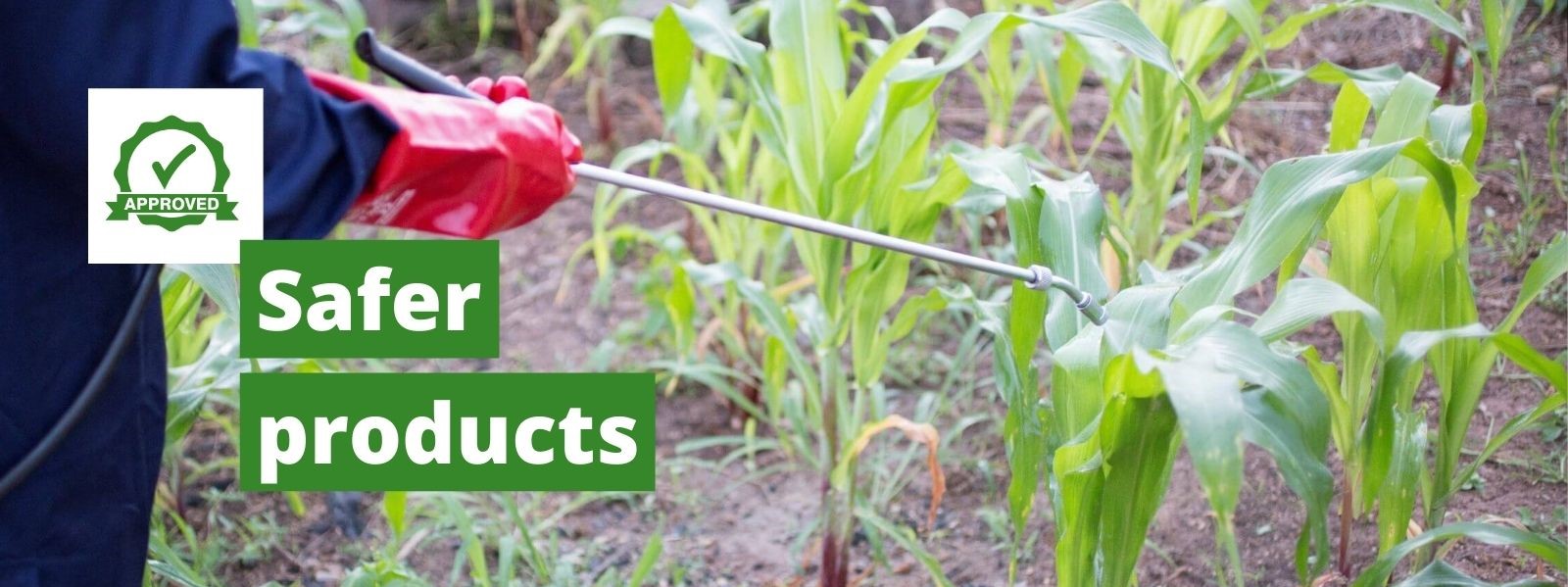 PlantwisePlus safer plant protection products PlantwisePlus Blog