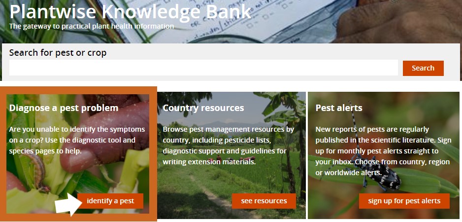 Plantwise Knowledge Bank