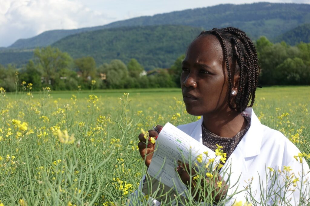 Integrated Crop Management student in the field