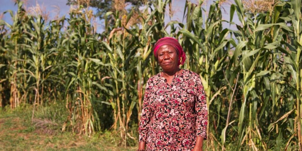 Maize farmer