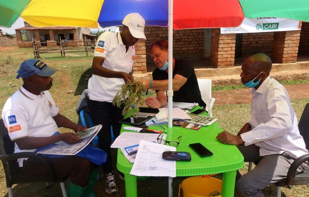 Plant doctor training in Burundi