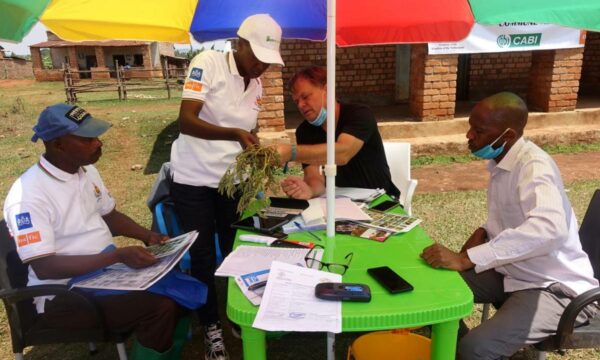 Plant doctor training in Burundi