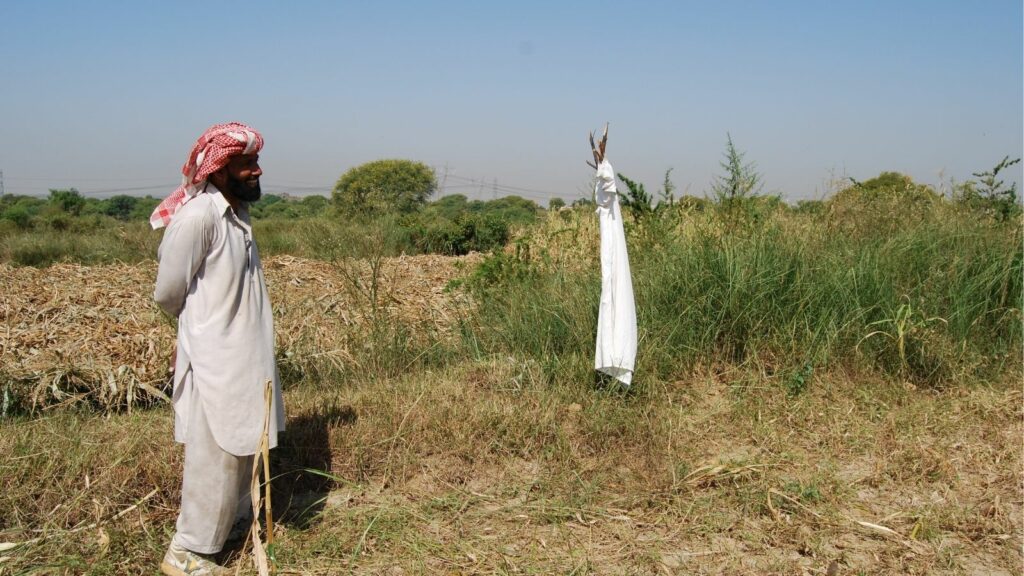 Farmer in Pakistan