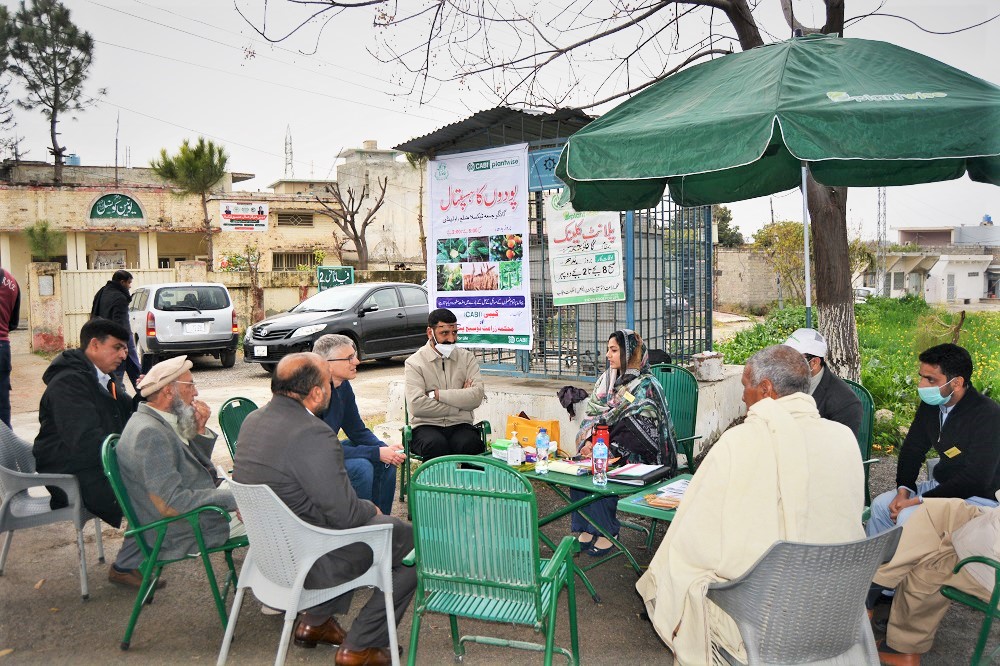 Pakistan plant clinic