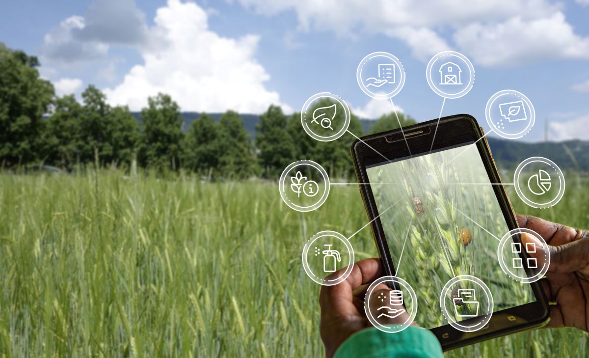 Crop App Index An easier way to find plant health digital tools
