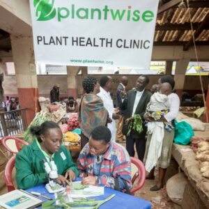 A plant clinic in Kenya