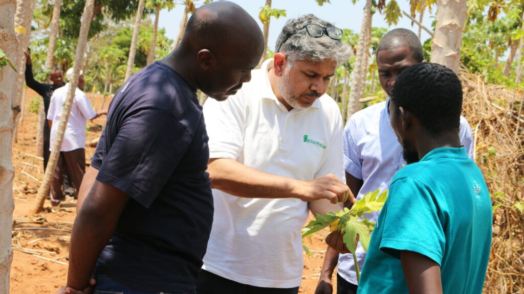 Abdul Rehman leading a session on papaya mealybug in Kwale County, Kenya