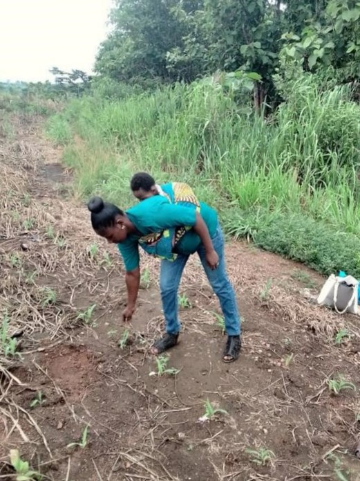 Female extension agent at work with baby on her back