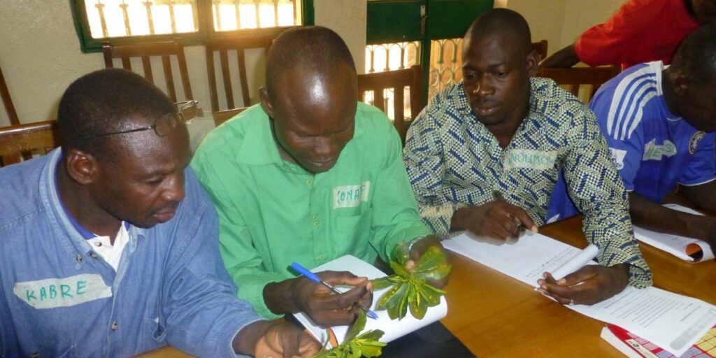 Plant Doctor training Burkina Faso