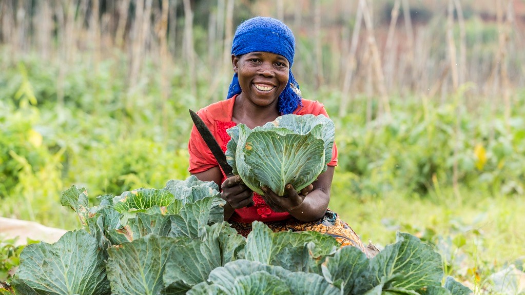 Farmer in Burundi holds her healthy cabbage crop