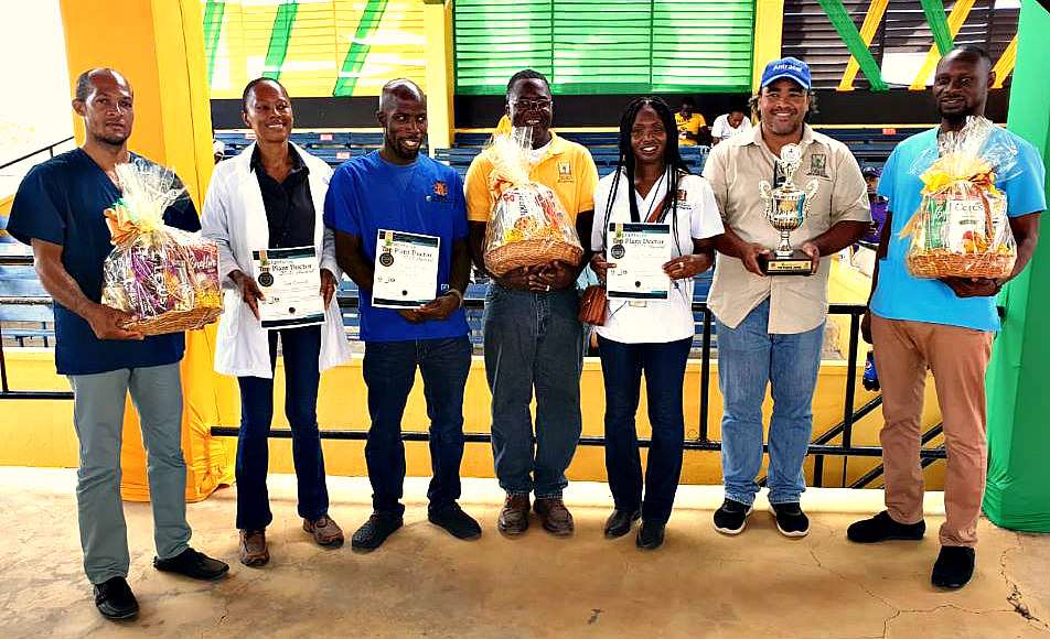 Jamaica’s plant doctors shine in Plantwise programme awards