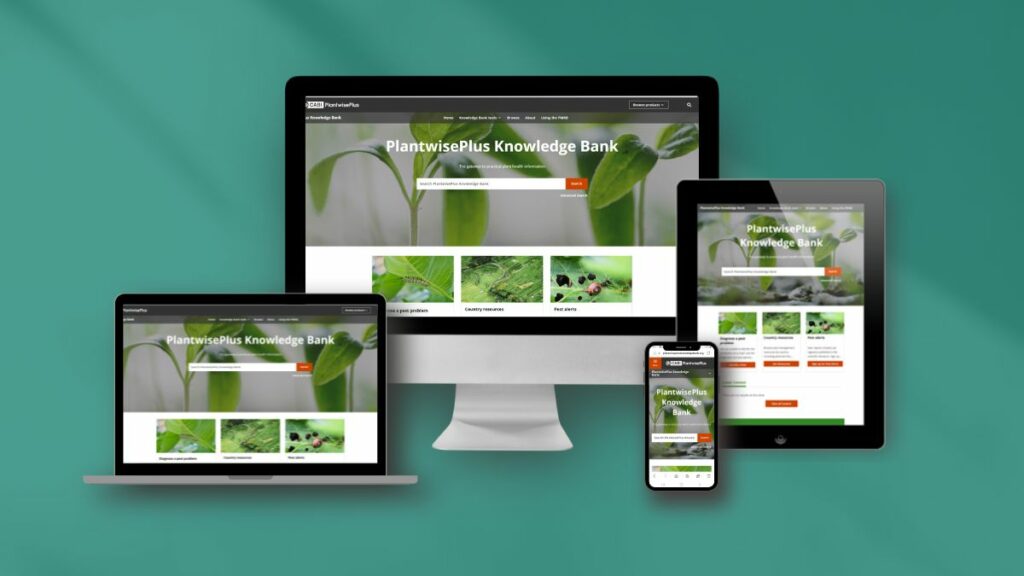 PlantwisePlus Knowledge Bank.