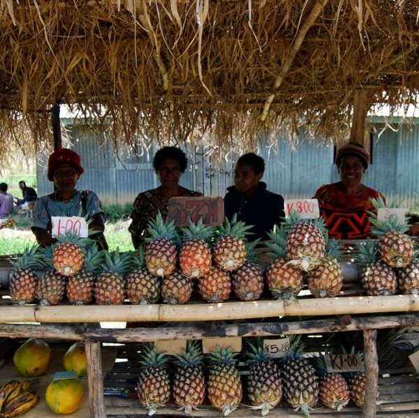 Working With Papua New Guinea To Safeguard Crop Production working-with-papua-new-guinea-to-safeguard-crop-production