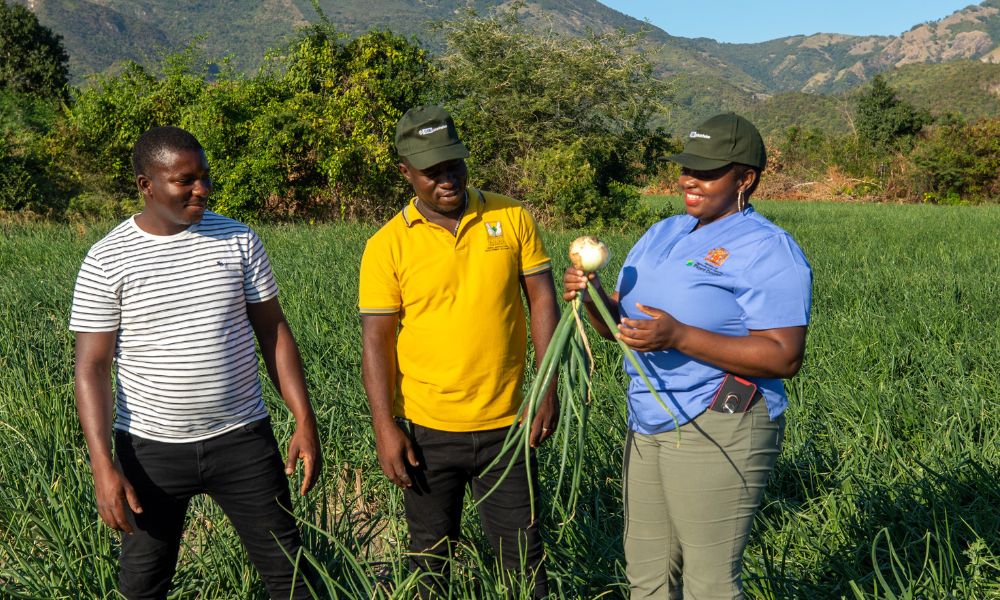 Extension worker and farmers in the field, Jamaica