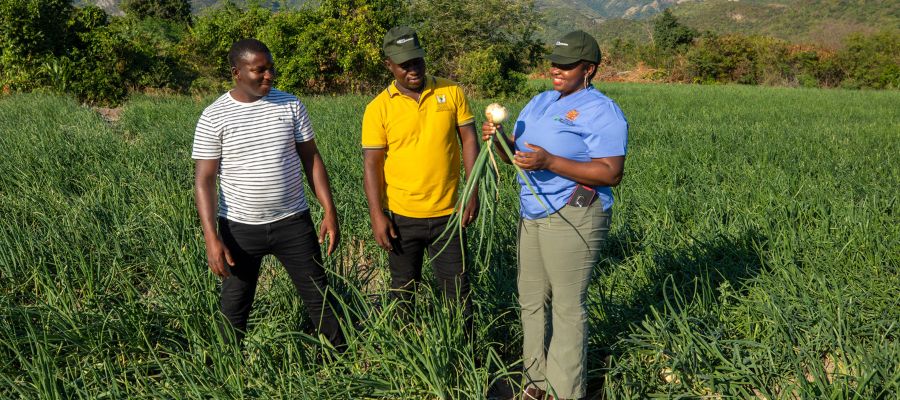 Extension worker in Jamaica