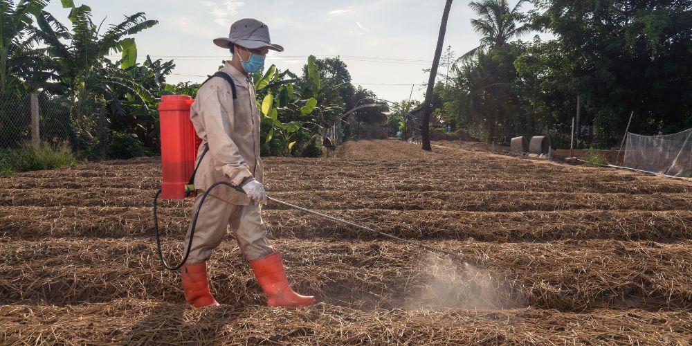 farmer in Cambodia sprayer crops