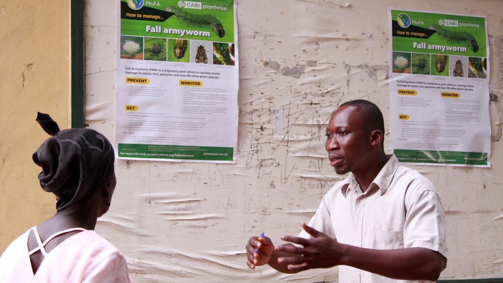 Extension workers in Ghana sharing information and spreading the word about fall armyworm