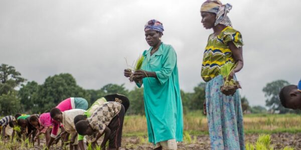 Bridging the gender digital divide in Ghana – PlantwisePlus Blog