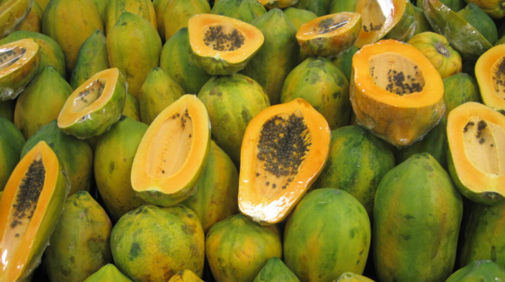 Image of Papayas, ready to sell. Our Common Papaya Disorders: A Comprehensive Guide one of our most-read blog posts this year.