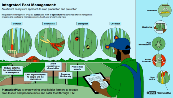 Integrated Pest Managment (IPM) : how it works and benefits