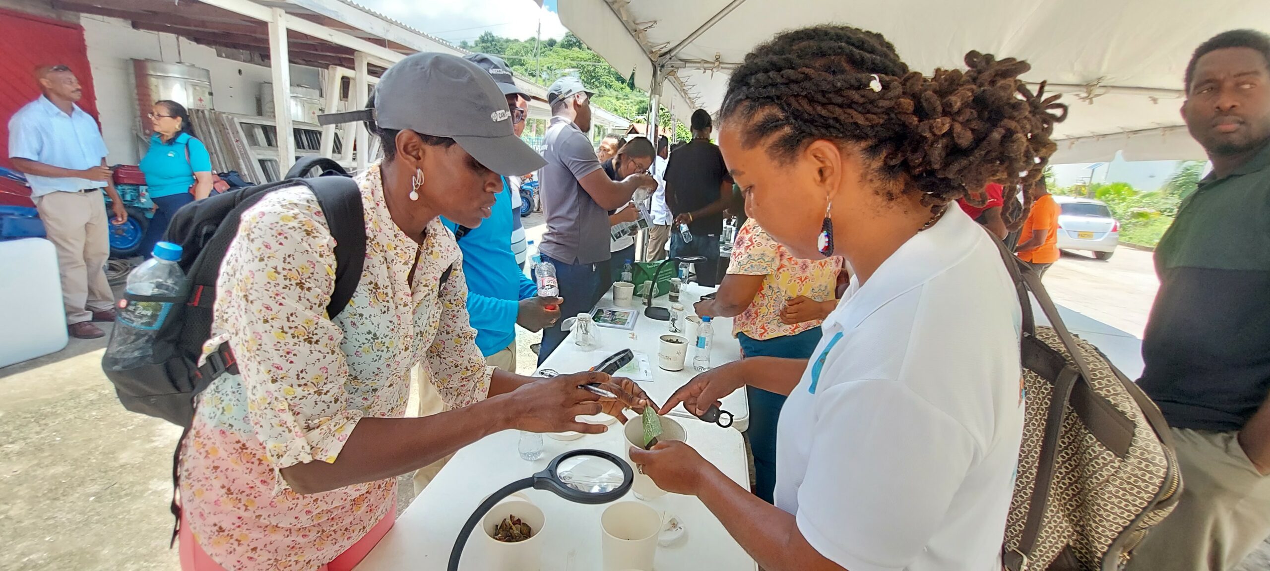 Biological control training advances pest management in Grenada
