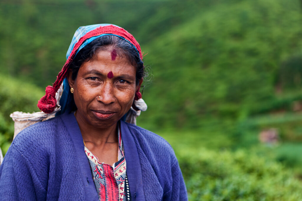 "Tamil women plucking tea leaves near Nuwara Eliya, Sri Lanka ( Ceylon ). Sri Lanka is the world's fourth largest producer of tea and the industry is one of the country's main sources of foreign exchange and a significant source of income for laborers.