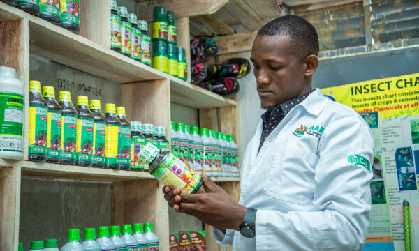 An agro-input dealer reading a product label