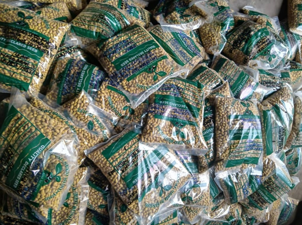 Image of seeds, which have met the seed production standard in Uganda, packaged.