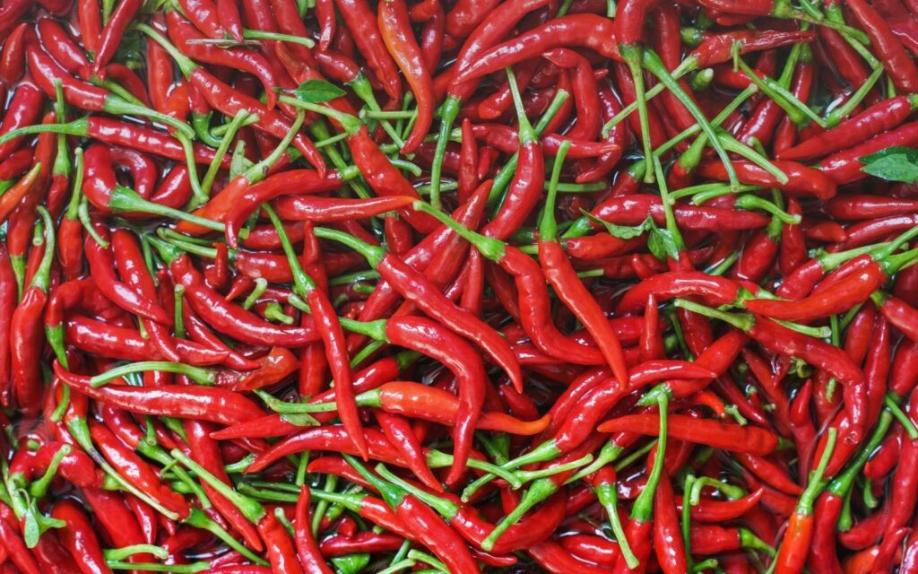 Red chillies