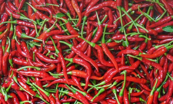 Red chillies