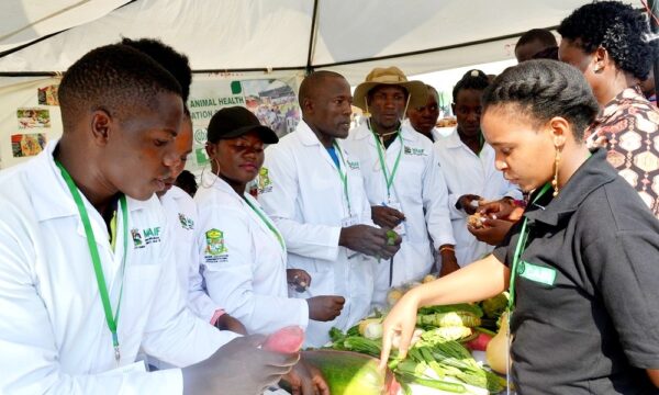 CABI beneficiiaries showcasing a plant clinic at the just concluded 29th National agricultural show in Jinja. Photo by Jackie Nambogga